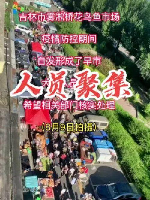 社会百态网友爆料视频下载,社会百态视频引发热议，下载观看揭示真实人间百态