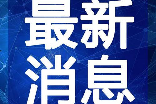 陨星爆料最新视频下载手机版,手机版下载全攻略揭秘