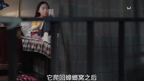 伊静和姐姐最新爆料视频,背后惊人真相曝光！