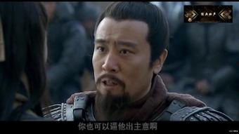 新三国78集在线观看,英雄末路，乱世风云再起