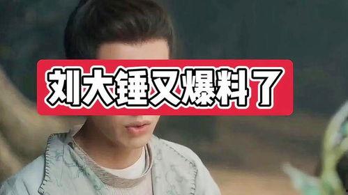 刘大锤周二爆料视频全集,揭秘事件真相与幕后黑幕