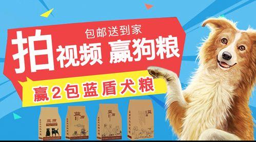 狗粮真实爆料视频大全集,真实爆料视频大全集深度解析