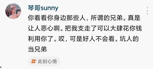 大网红被爆料视频大全下载,一场网络舆论的风暴