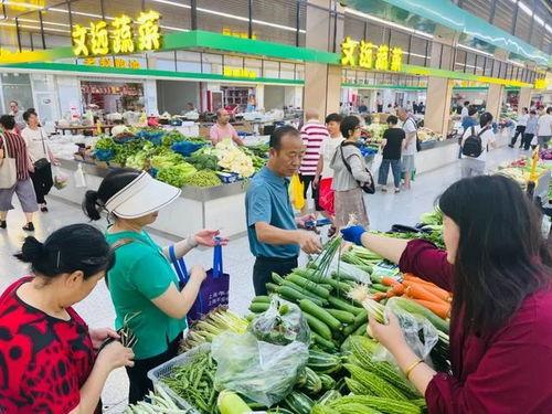 河南菜市场爆料新闻报道,新鲜食材与人间烟火气交织
