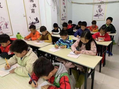 最新爆料开封小学生,揭开校园奇闻之谜