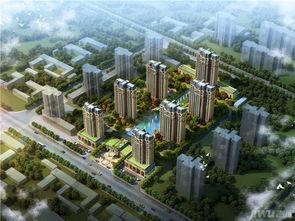 鹿泉最新爆料电话,电话揭露惊人内幕