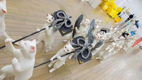 娱乐吃瓜君宠物,揭秘明星宠物的趣味生活